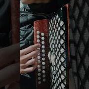 Чеченская На Гармошке