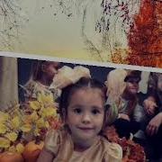 Осень Чащи Леса Мох Сухих Болот