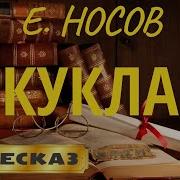 Рассказ Носова Кукла