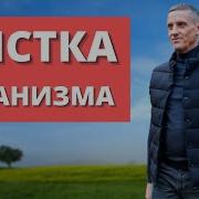 Что Происходит Во Время Чистки Организма