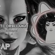 Kuoga Wite Katt Suck My Blood Lyrics Official Nightcore Llama Reshape