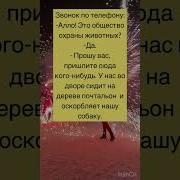 Прикол Звонок По Телефону