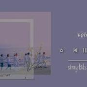 Sad Soft Stray Kids Playlist