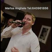 Marius Anghele 2019 O Prins Doru Radacina