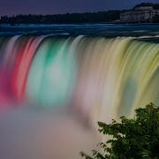 Niagata Insomnia