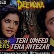 Teri Umeed Tera Intezaar Karte Deewana Kumar Sanu