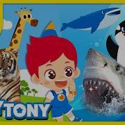 Juny And Tony Animals