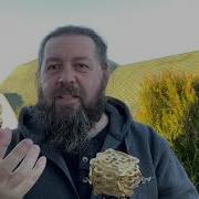 Кудесник Добрыня