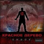Красное Дерево Следующий Шаг