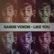 Sandr Voxon Like You