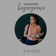 Строение И Функция Корня Разнообразие Корней