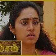 Vamsam Tamil Serial Episode 772 21 01 2016