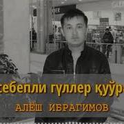 Сен Себепти Гулдер Курадай Мр3