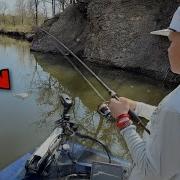 Arm Bass