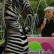 Grand Candy Zebra Govazd 2007