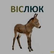 Розвиваючі Мультики Для Дітей Вивчаємо Тварини Дикі Світські Та Домашні Улюбленці