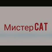 Интро Для Канала Мистер Cat