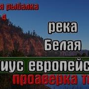 Русская Рыбалка 4 Рр4 Река Белая Хариус Европейский Проверяем Точки