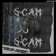 Scam Stell Scally Milano