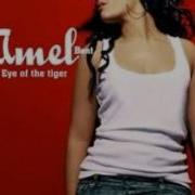 Eye Of The Tiger Survivor Amel Bent