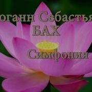 Иоганн Себастьян Бах Симфония 13