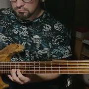 Bass Почему