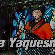 La Yaquecita