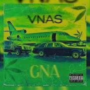 Vnas Gna