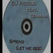 Dj Piccolo Spring