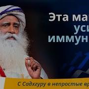Мантра Даст Вам Энергию И Усилит Иммунитет