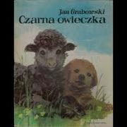 Czarna Owieczka 2
