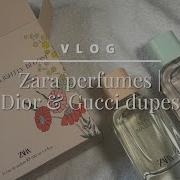 Gucci Zara