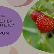 Болезни И Вредители Клубники Весенняя Обработка Клубники