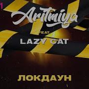 Lazy Cat Аритмия Локдаун