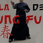 Wing Chun Kung Fu De Ip Man Aula 2 Siu Lin Tao Artes Marciais