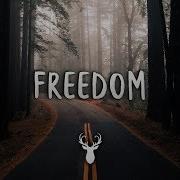 Freedom Chill Out Mix