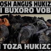 Uz Buxoro Vobkent