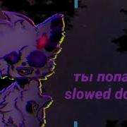 Ты Попал Дан Дан Slowed