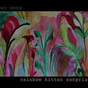 Our Song Rainbow Kitten Surprise