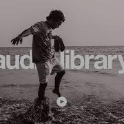 Kv Leaf No Copyright Music