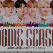 Hoodie Season Stray Kids