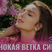 Одинокая Ветка Сирени Капралов