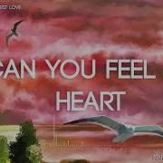 Wang Bowen Can You Feel My Heart Instrumental