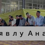 Аявлум Анам