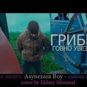 Грибы Тает Лёд Ассенизатор Cover