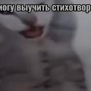 Мемные Песни Из Тик Тока Кот Кричит Кот Флексит