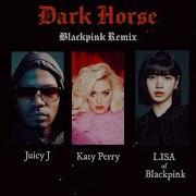 Katy Perry Juice J Lisa Dark Horse