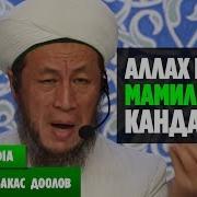 Садыбакас Ажы Доолов Аллах Менен Мамилеңиз Кандай