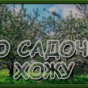 Скачать По Садочку Ходжу