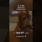 Маты В Мемах